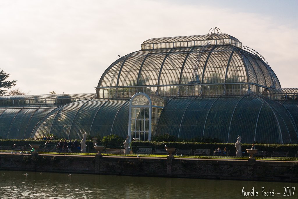La Palm House - Kew gardens
