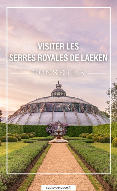 Visiter les Serres Royales de Laeken - image Pinterest