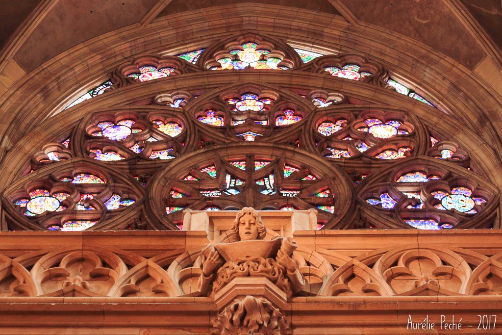 Rosace de la cathédrale Saint-Guy