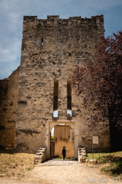 Chateau des Adhémar - Montélimar