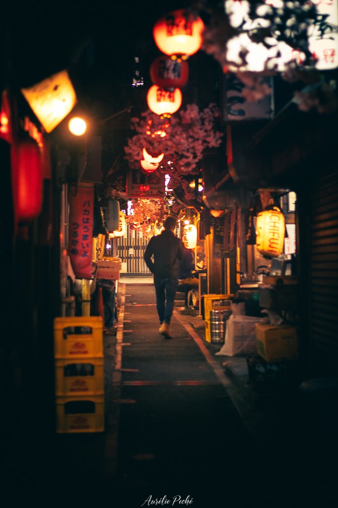 Memory Lane - Yakitori Alley
