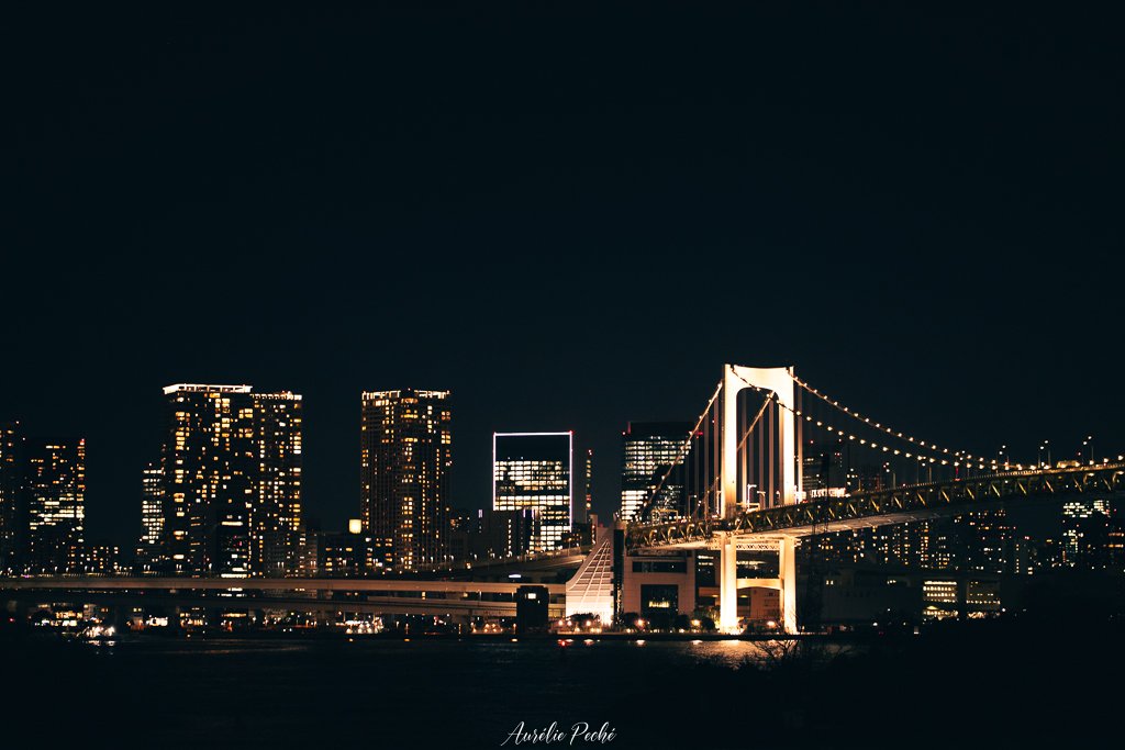 Vue sur la baie de Tokyo et le rainbow bridge de nuit