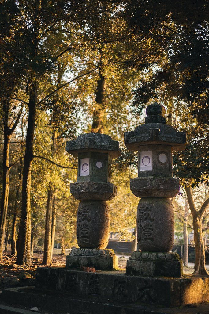 Lanternes du Kasuga Taisha