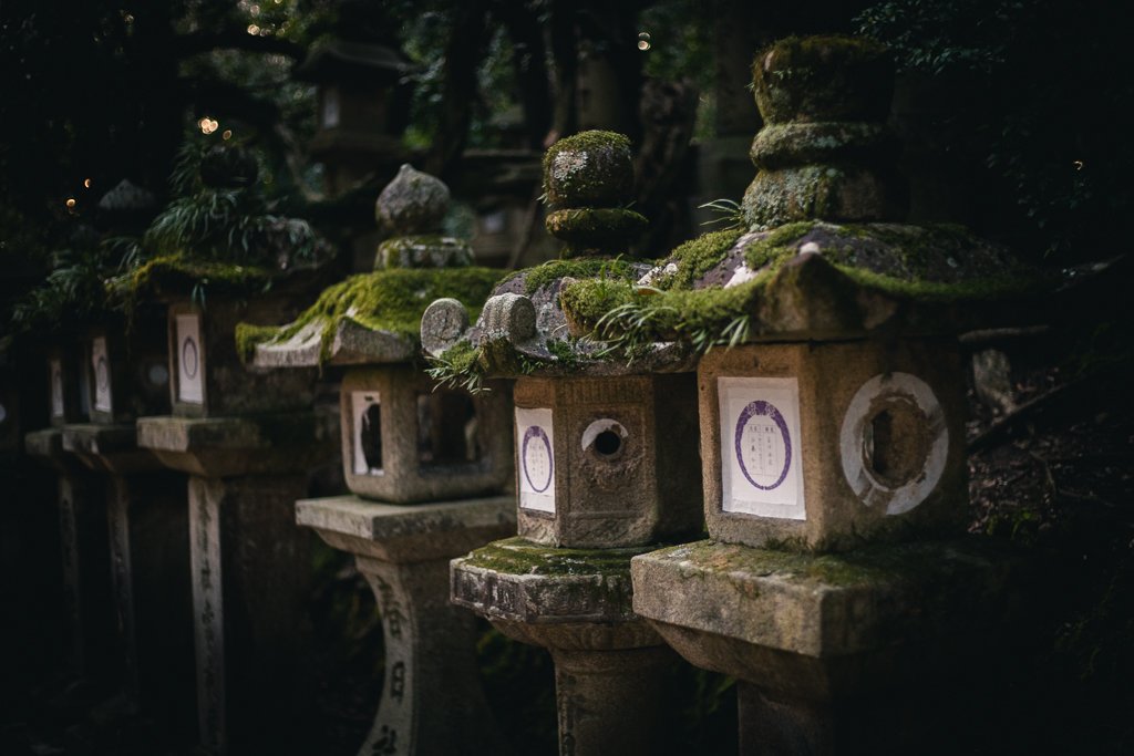 Lanternes de pierres à Nara