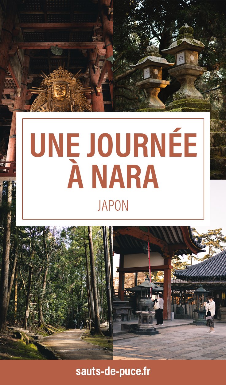 Une journée à Nara, que voir, que faire ?