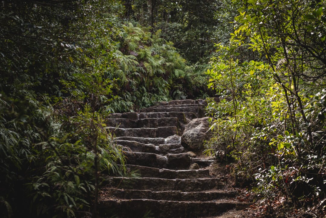 Un escalier de pierre monte dans la forêt vers le sommet du Mont Misen à Miyajima.