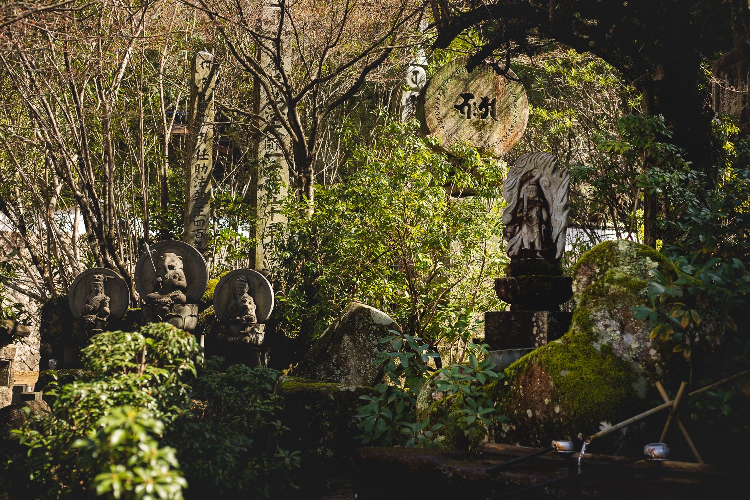 Une série de statues de pierre perdues dans la végétation