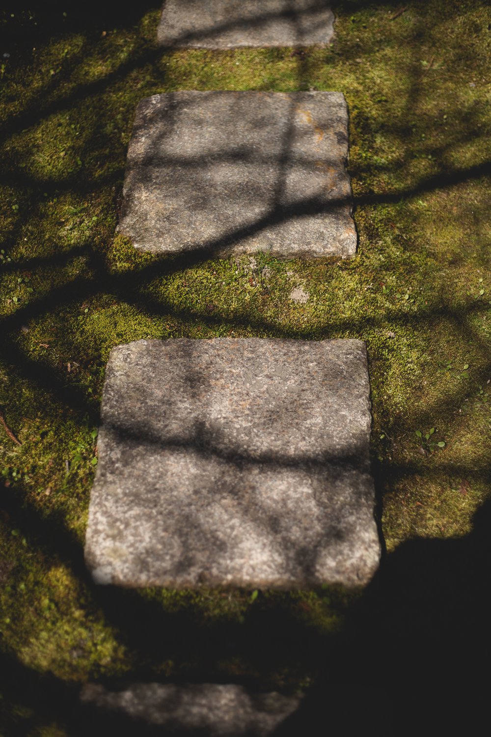 Détails des pavés du chemin dans le jardin de mousse au Konchi-In avec l'ombre des arbres qui crée un jeu de lumière