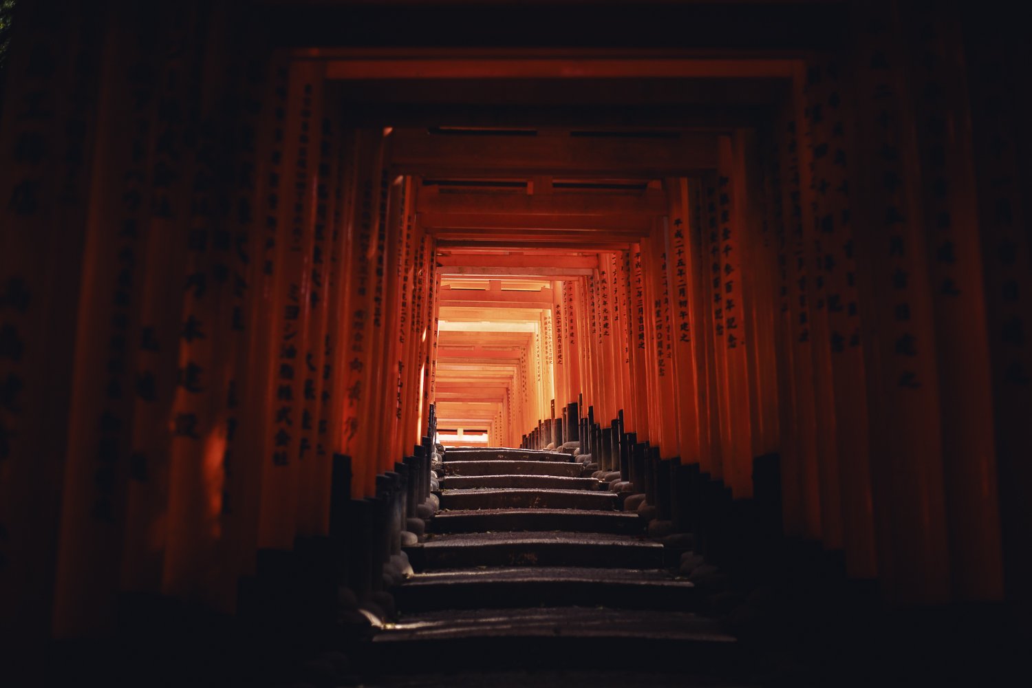 Sentier au Fushimi Inari Taisha