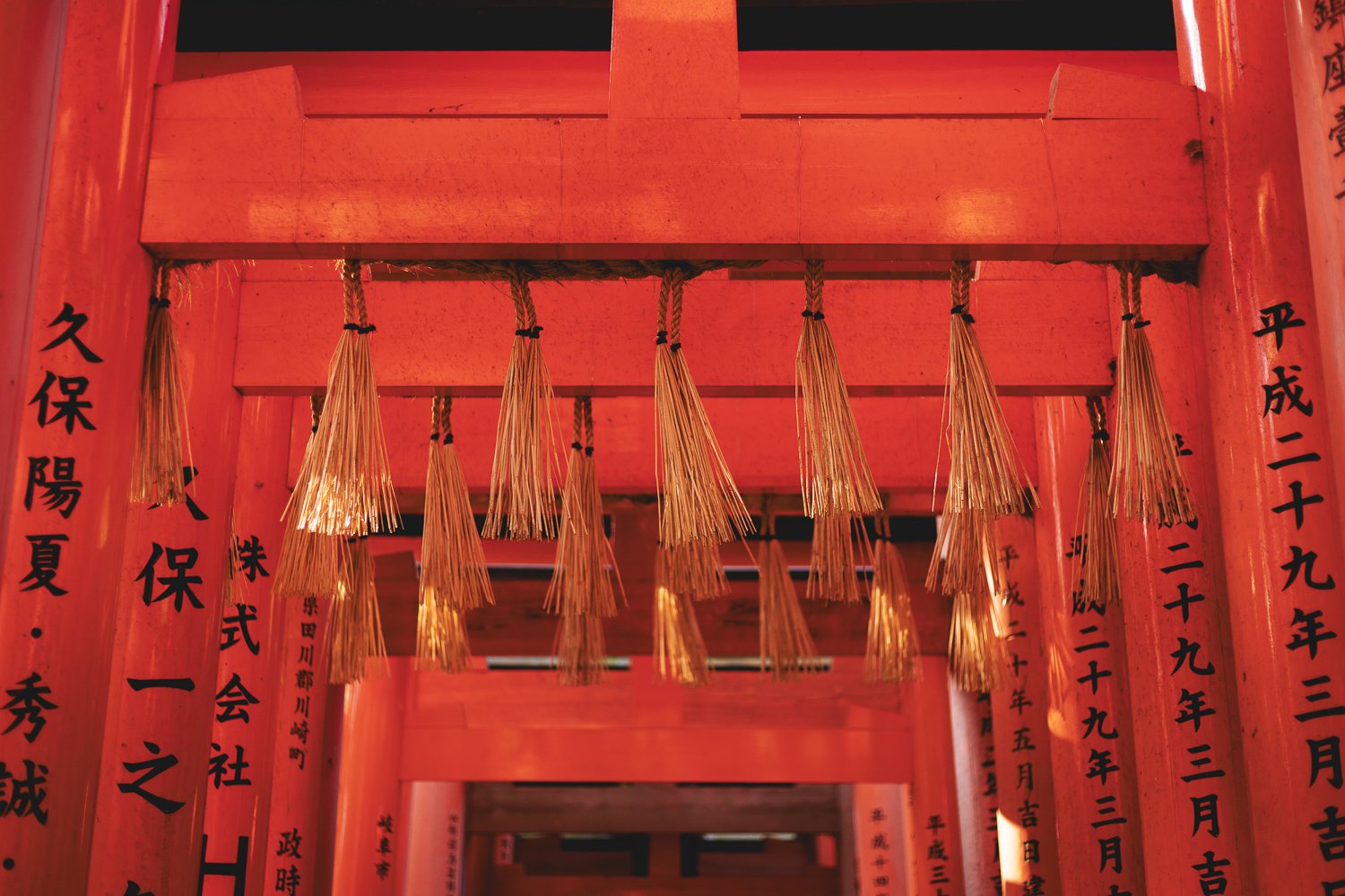 Photo du haut des torii au Fushimi Inari