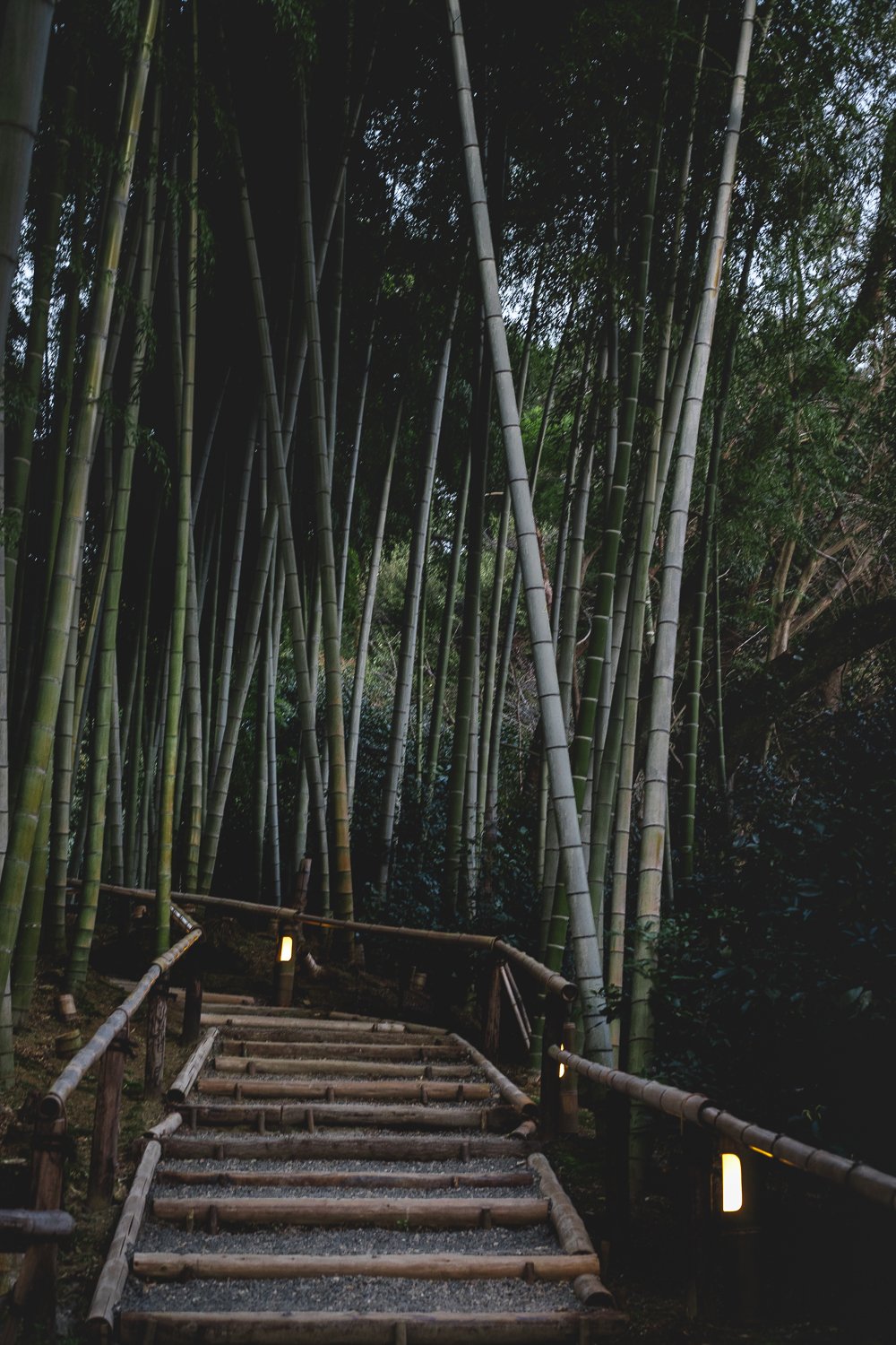 La bambouseraie du Kodai-ji : un peu moins connue qu'Arashiyama