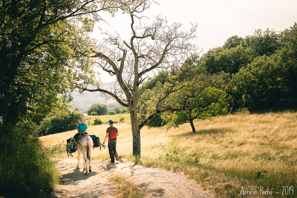 Randonnée avec un âne en Drôme