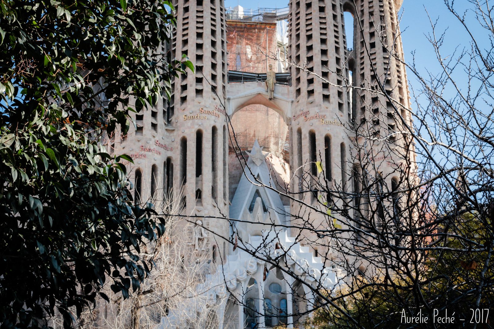 Sagrada Familia de Barcelone