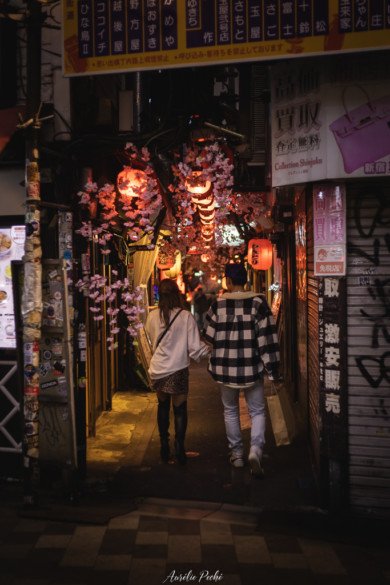 Memory Lane - Yakitori Alley