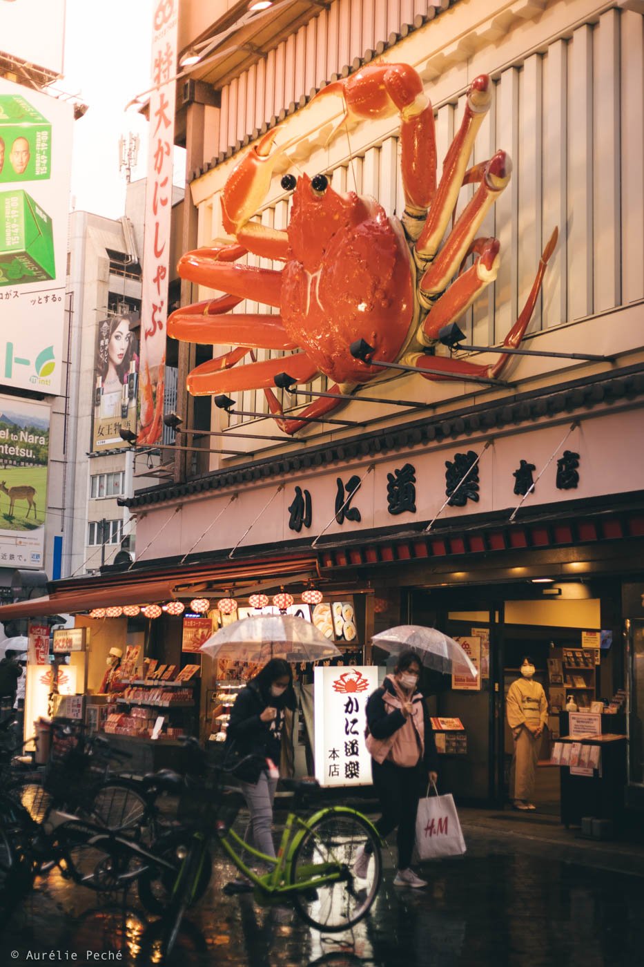 Enseignes dans le quartier de Dotonbori à Osaka représentant un crabe géant.