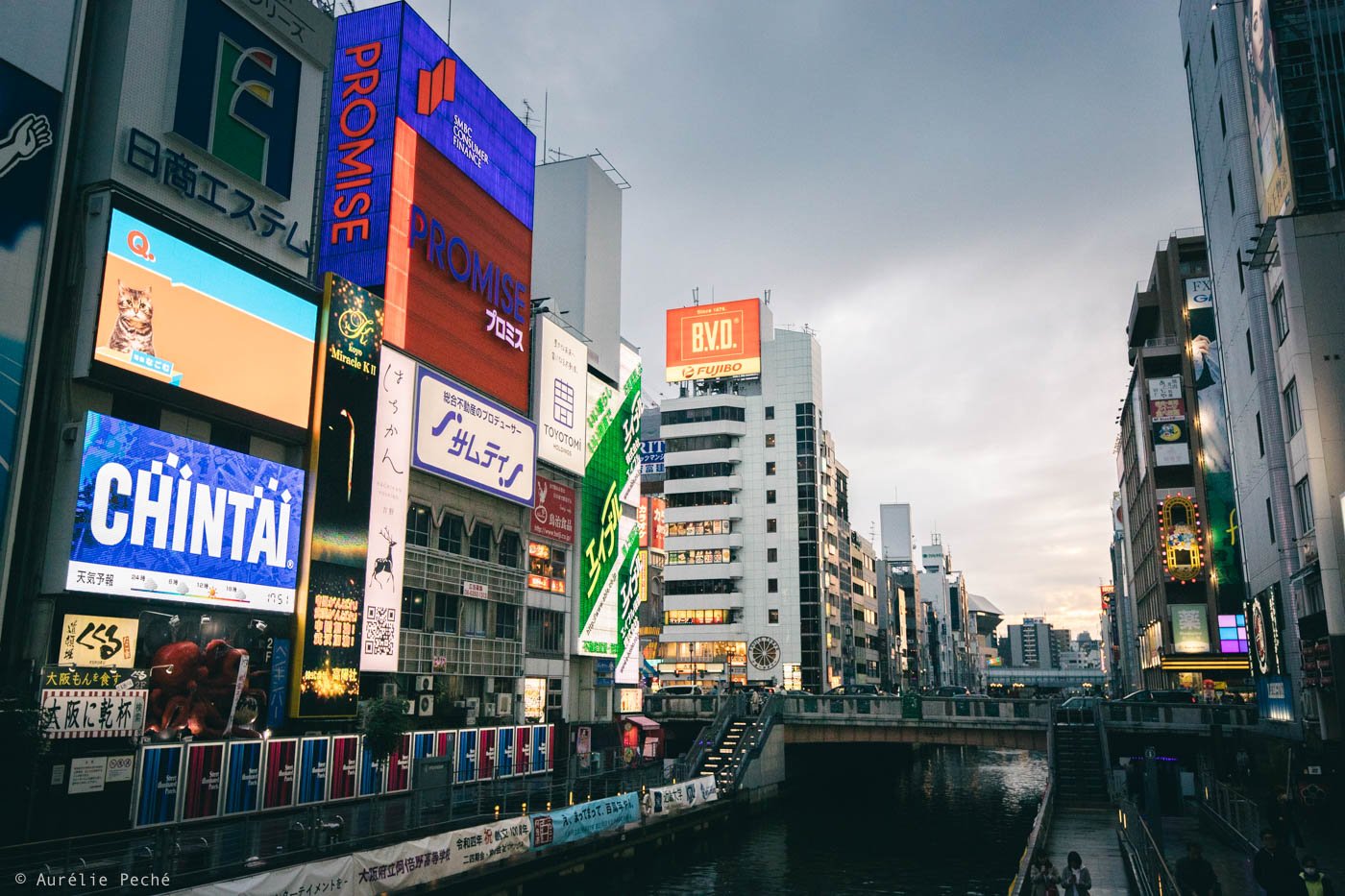 Série de grands écrans publicitaires le long du canal Dotonbori à Osaka