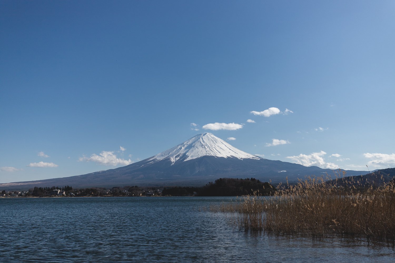 Vue sur le Mont Fuji avec le lac en premier plan. Le sommet de Fujisan est enneigé. Le ciel est bleu avec quelques nuages très éparses. Au premier plan, on voit quelques roseaux dans l'eau du lac. Je trouve cette photo très apaisante