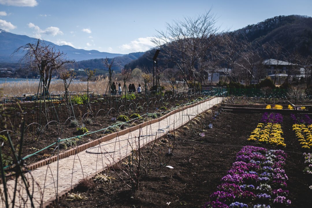 Un chemin entre les plantation du jardin botanique du parc Oishi