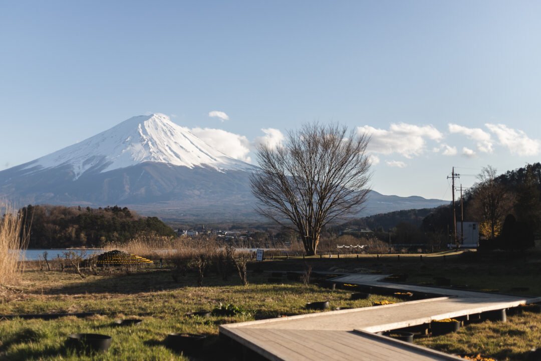 Un chemin de bois dans le parc Oishi longe le lac Kawaguchi. Dans le fond on aperçoit le mont Fuji