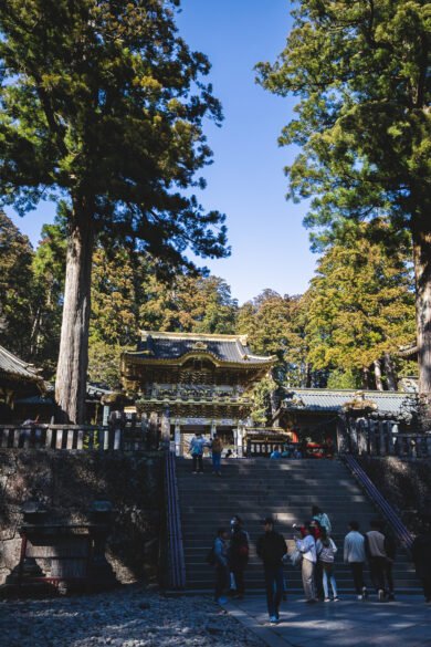 Sanctuaire de Nikko. Des bâtiments richement décorés en pleine forêt.