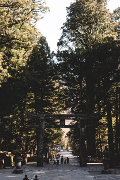 Le torii qui marque l'entrée du Tosho-gu dans le parc de Nikko. Il est entouré de hauts arbres.