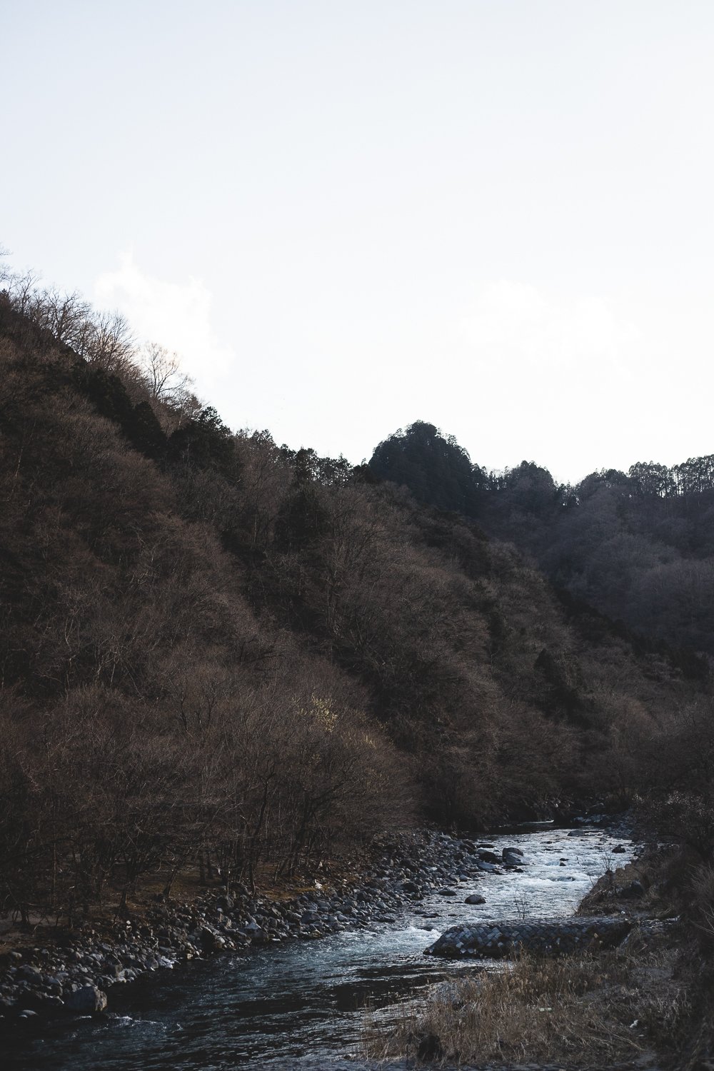 Vue sur la rivière de Nikko. La végétation autour est brune, sans feuilles, le printemps n'est pas encore là.