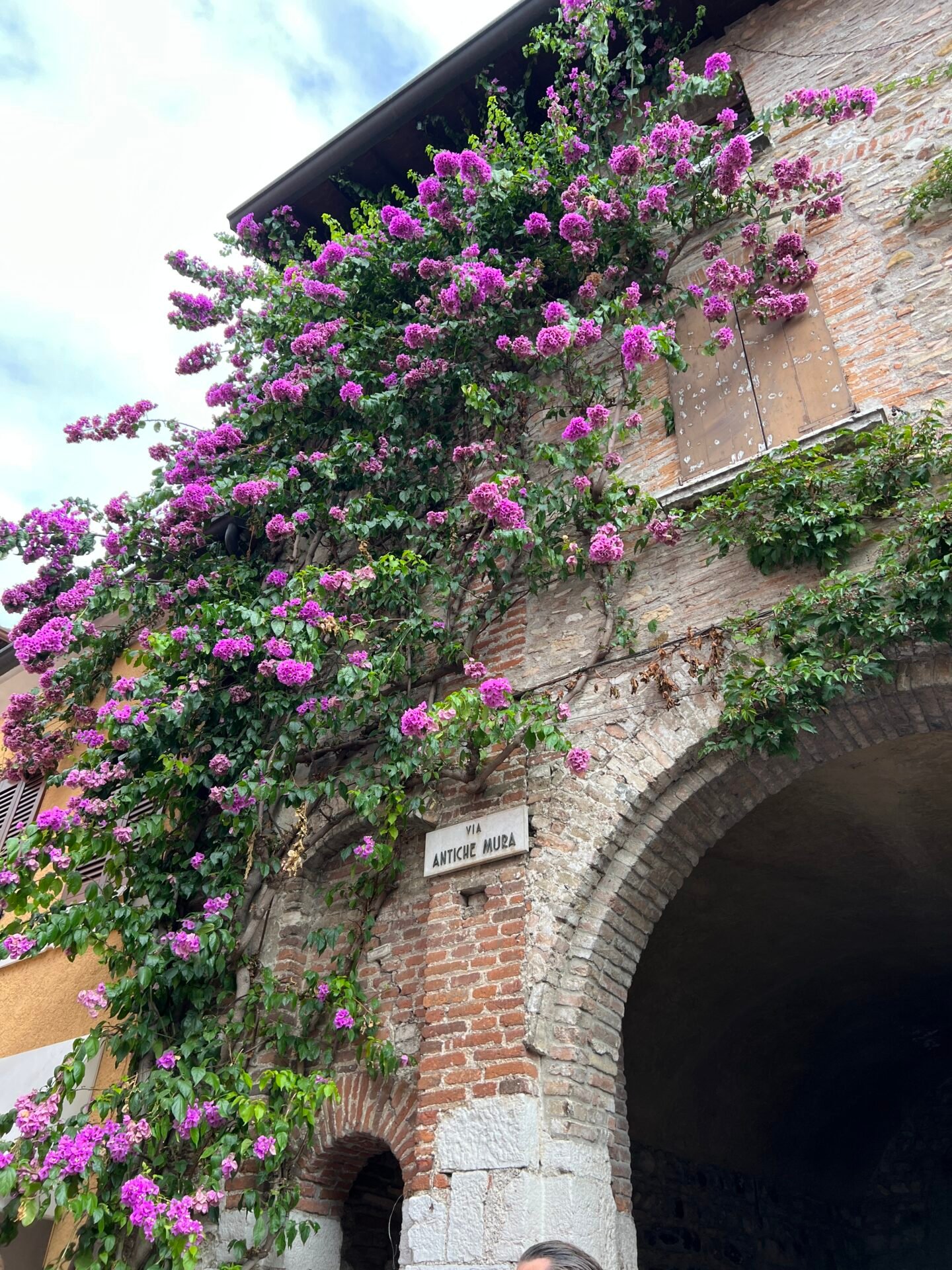 Une autre glycine, un peu moins impressionnante en nombre de fleurs monte sur le côté d'un bâtiment qui marque l'entrée d'un passage couvert dans la vieille ville de Sirmione