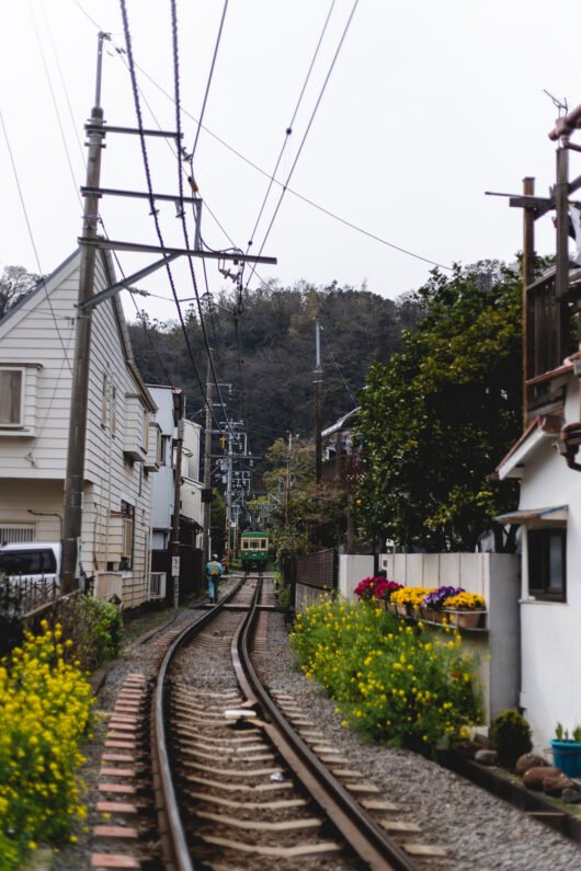 Des rails passent entre des maisons et jardins. au loin, un train s'éloigne. 