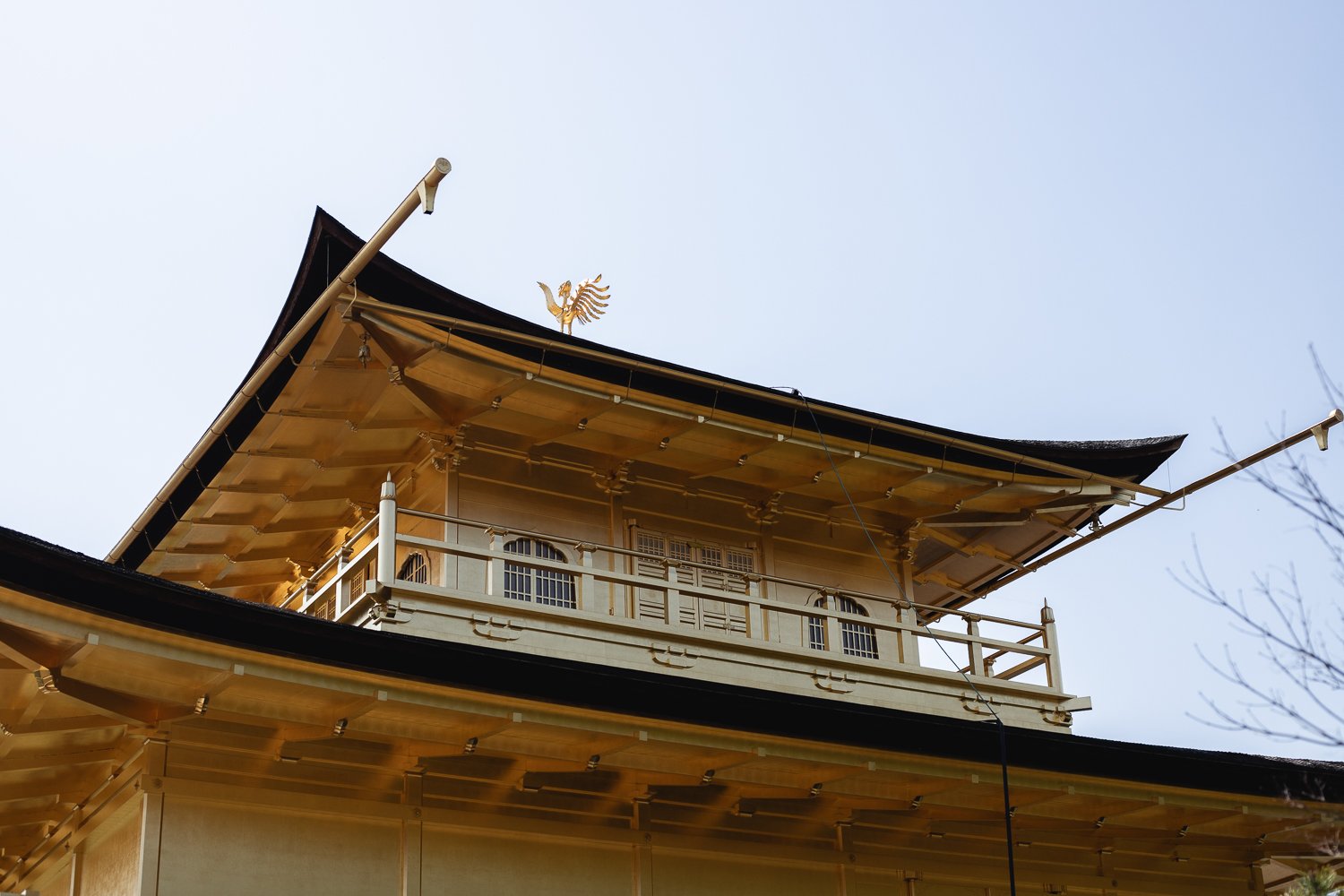 Vue proche du pavillon d'or.