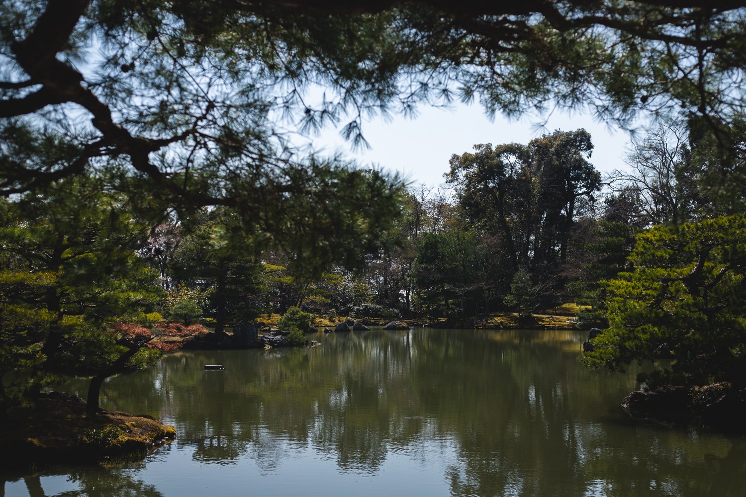 Un étang au temple Kinkaku-ji