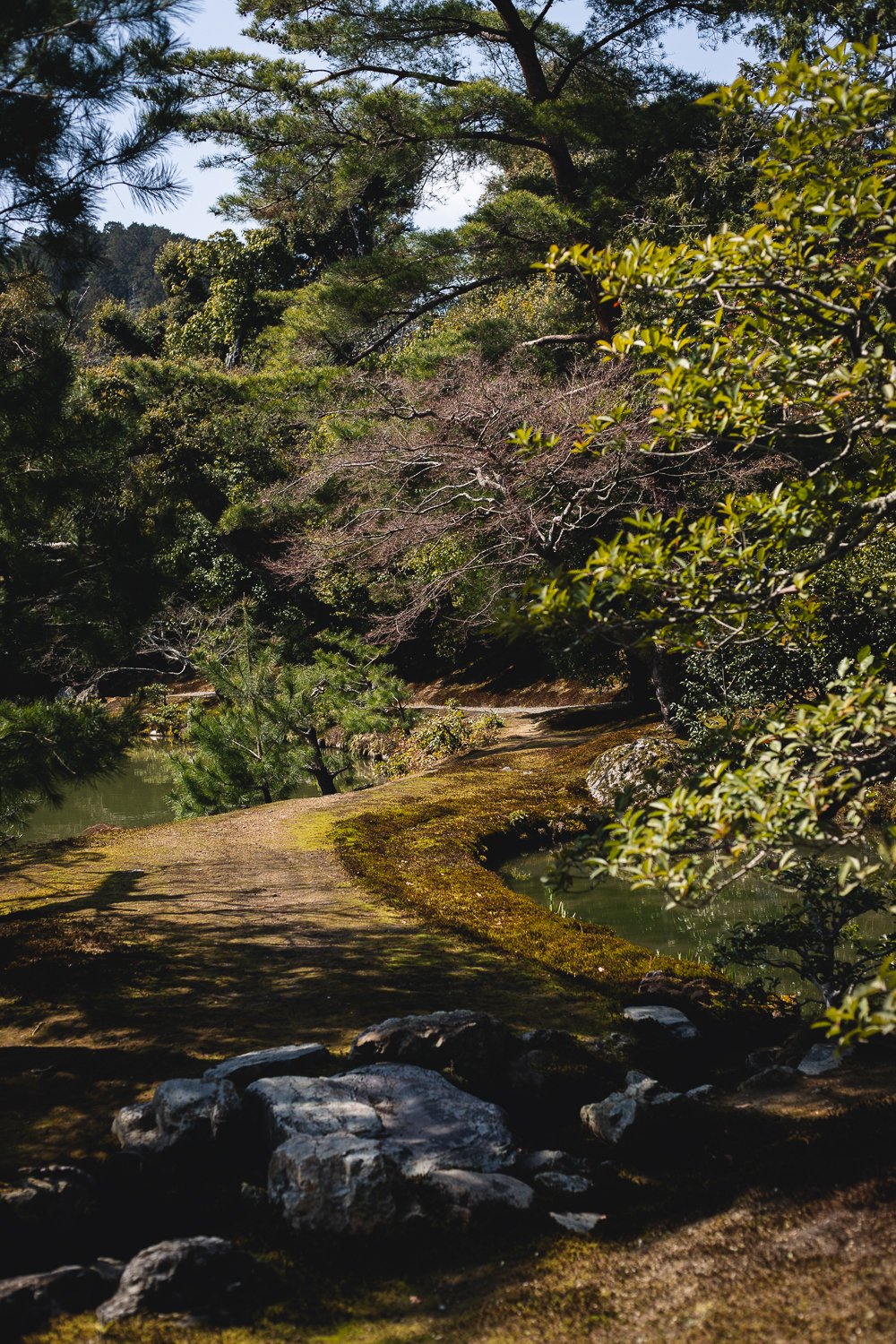 Un chemin serpente au Kinkaku-ji