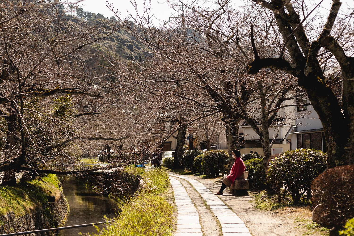 Le chemin de la philosophie à Kyoto