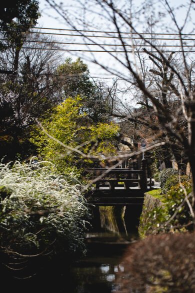 Un petit pont traverse le cours d'eau le long du chemin de la philosophie à Kyoto