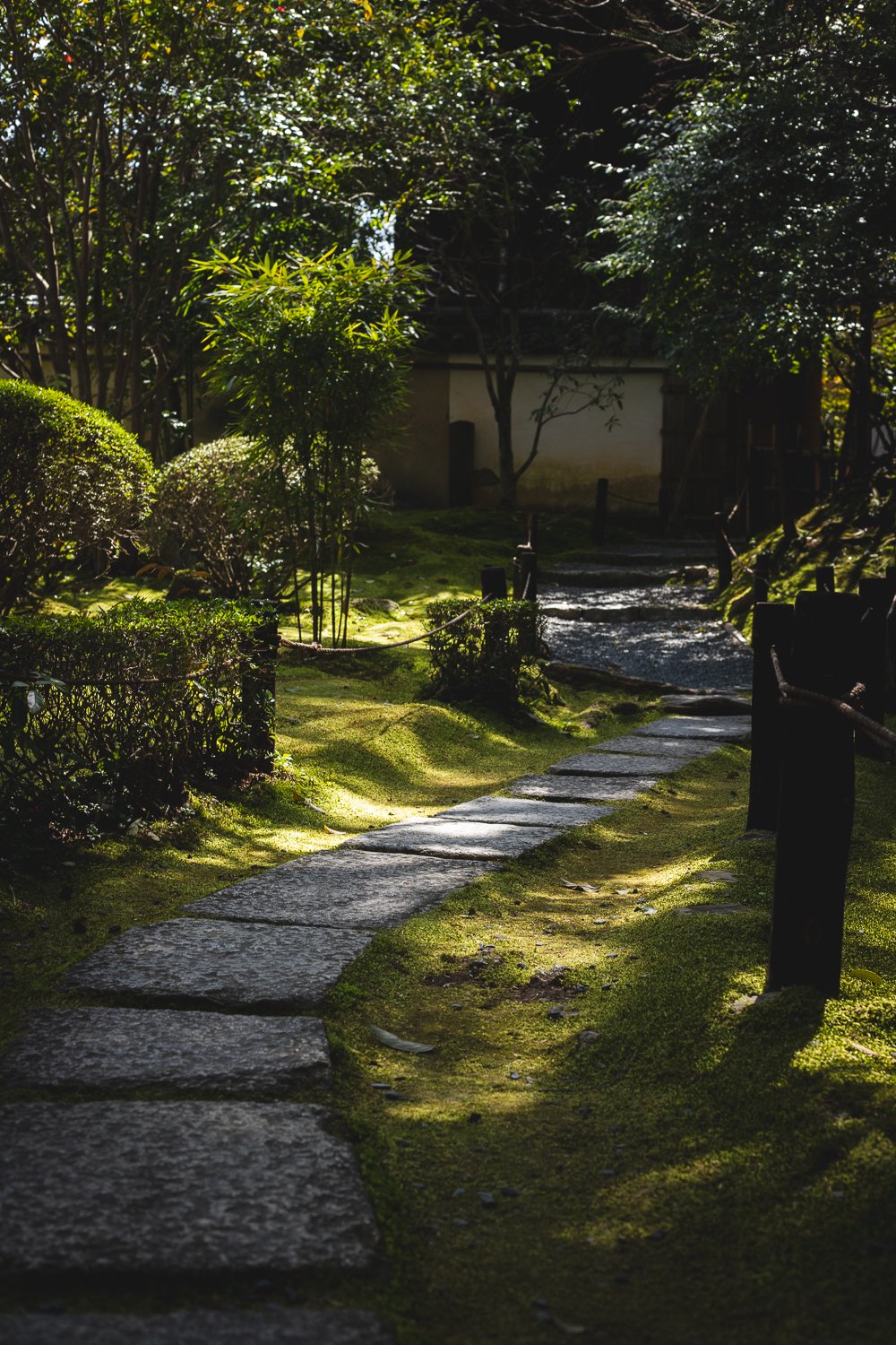 Un chemin pavé serpente dans le jardin de mousse au Konchi-In à Kyoto