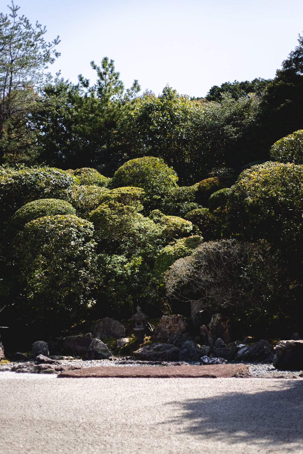 Le jardin sec au Konchi-In. En arrière plan, de nombreux buissons et arbustes parfaitement taillés. Au premier plan l'étendue de gravier ou le soleil de midi empêche de voir les sillons tracés dedans.