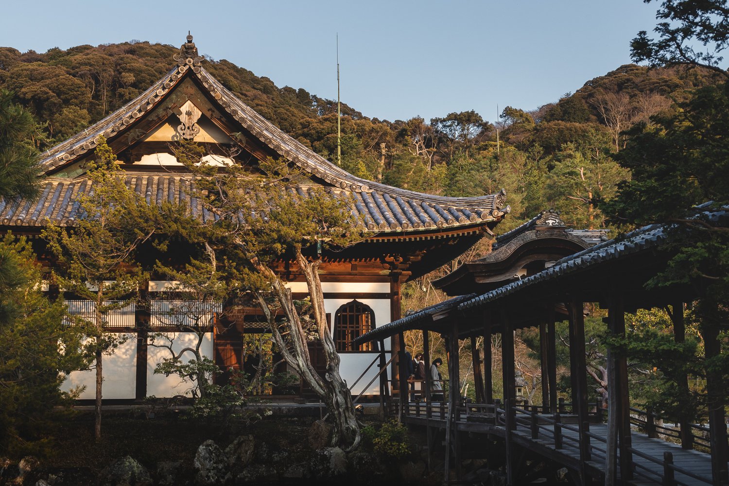 Un pavillon dans le Kodai-ji à Kyoto. Si je ne me trompe pas, il s'agit d'un pavillonpour la cérémonie du thé. Un petit chemin en bois couvert s'y rend.