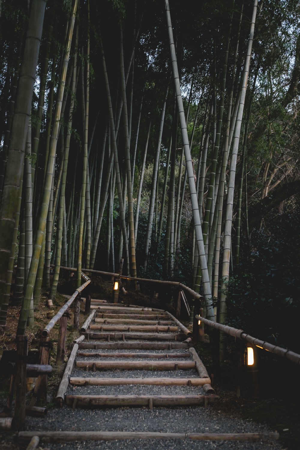 Un escalier s'enfonce dans la foret de bambous du Kōdai-ji, une visite très prisée à Kyoto.