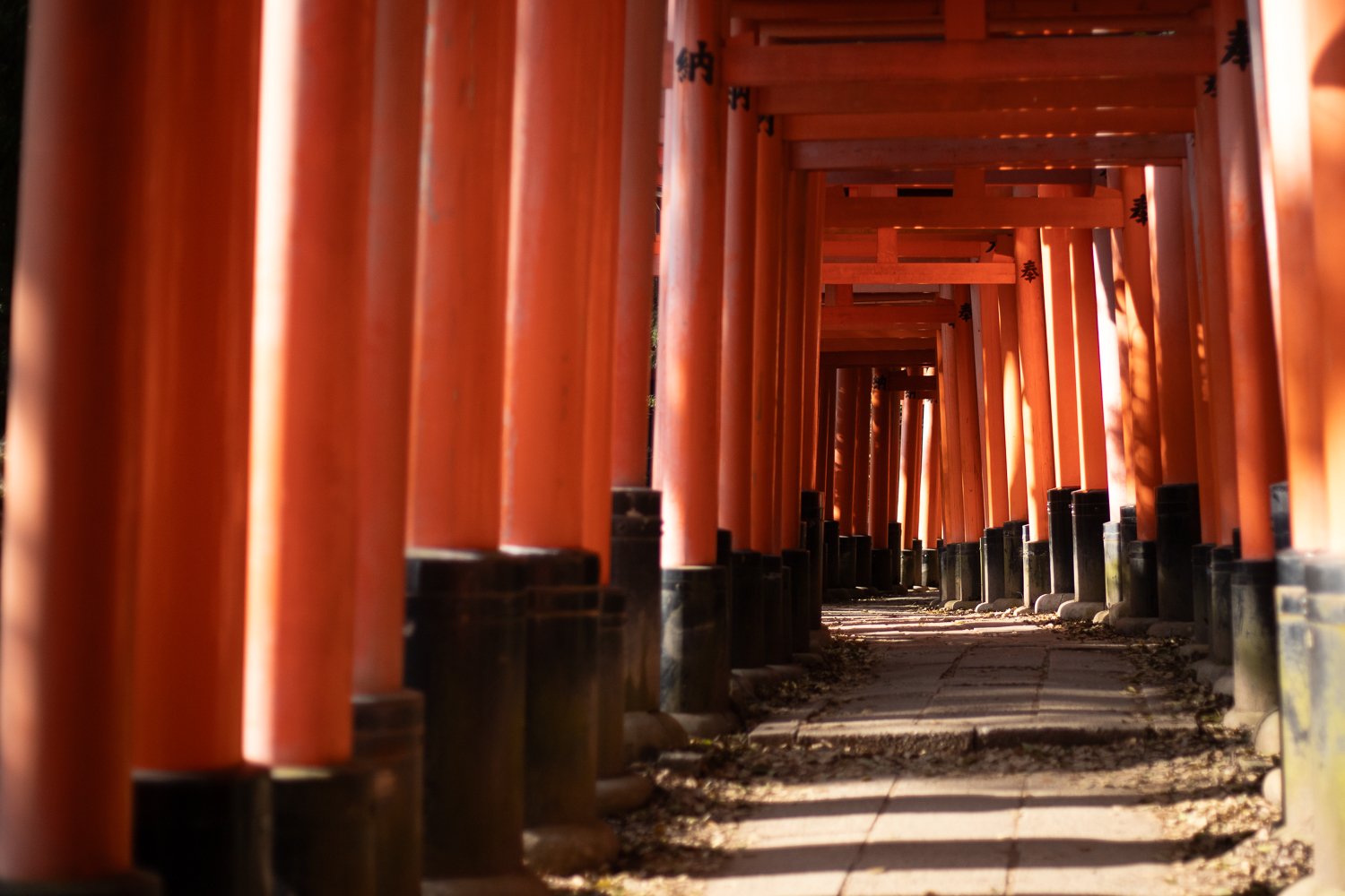 L'enchainement de toriis du Fushimi-Inari : un des spots photo de Kyoto le plus connu !